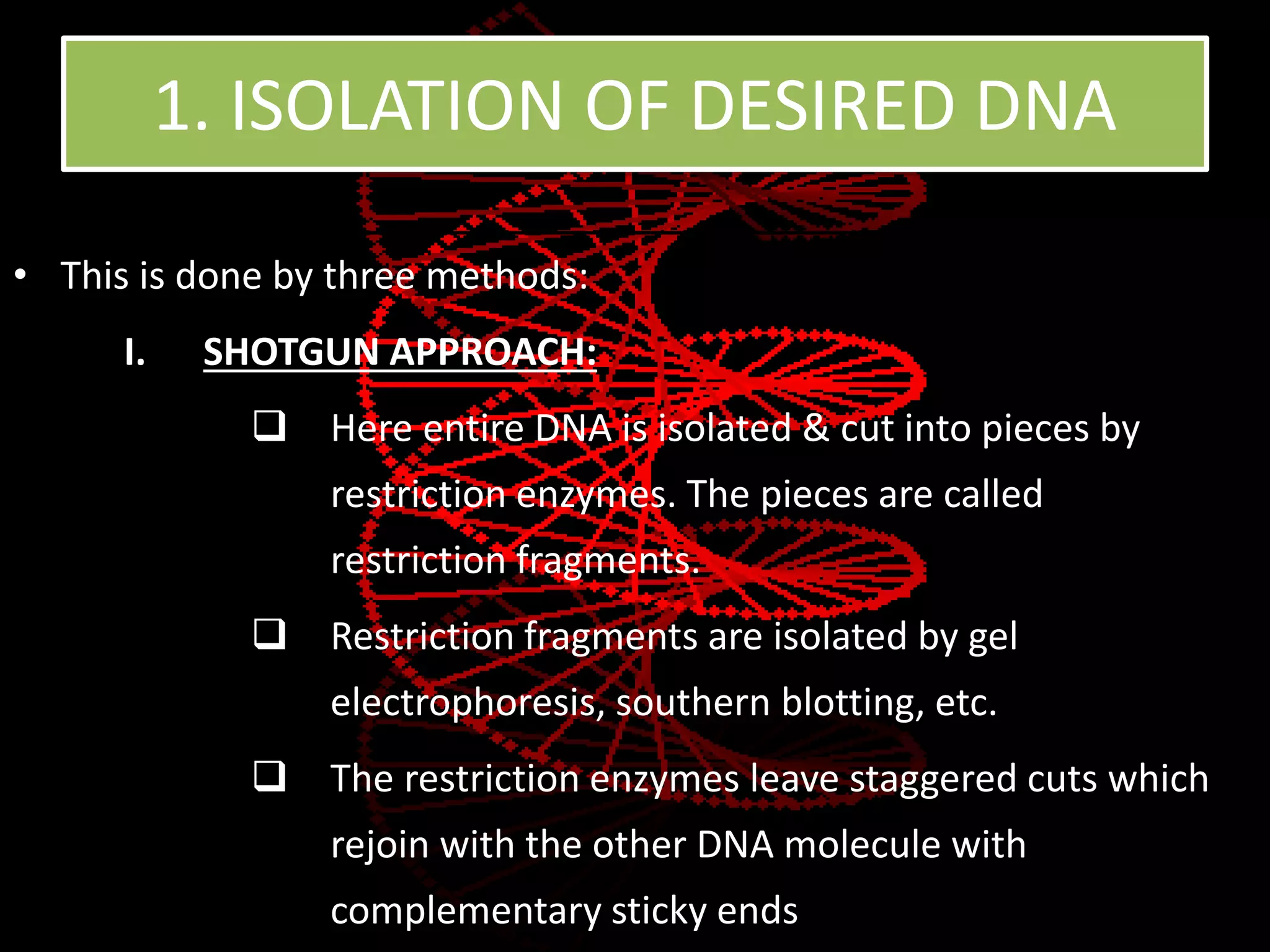 1. ISOLATION OF DESIRED DNA
• This is done by three methods:
I. SHOTGUN APPROACH:
 Here entire DNA is isolated & cut into pieces by
restriction enzymes. The pieces are called
restriction fragments.
 Restriction fragments are isolated by gel
electrophoresis, southern blotting, etc.
 The restriction enzymes leave staggered cuts which
rejoin with the other DNA molecule with
complementary sticky ends
 