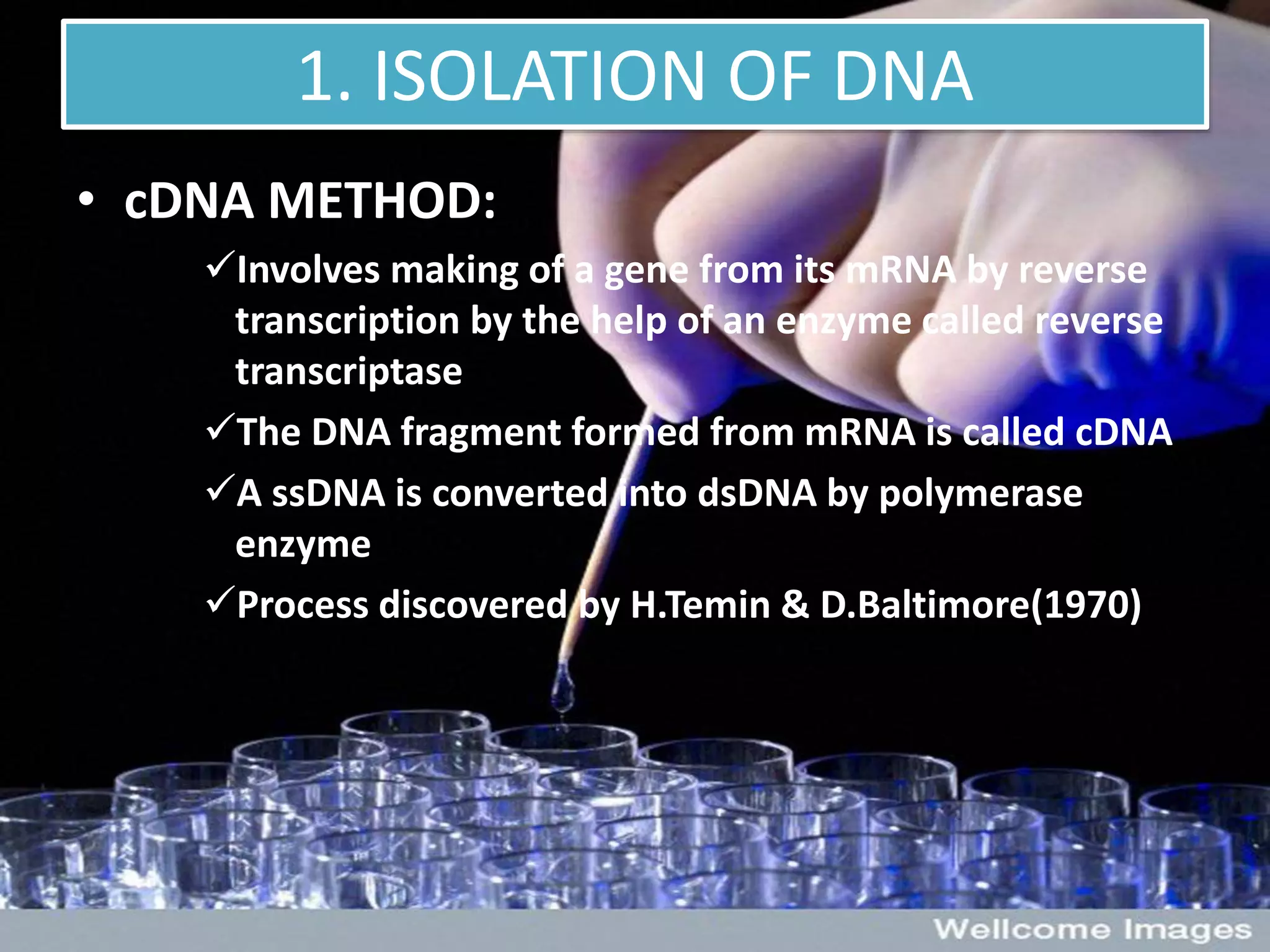 1. ISOLATION OF DNA
• cDNA METHOD:
Involves making of a gene from its mRNA by reverse
transcription by the help of an enzyme called reverse
transcriptase
The DNA fragment formed from mRNA is called cDNA
A ssDNA is converted into dsDNA by polymerase
enzyme
Process discovered by H.Temin & D.Baltimore(1970)
 