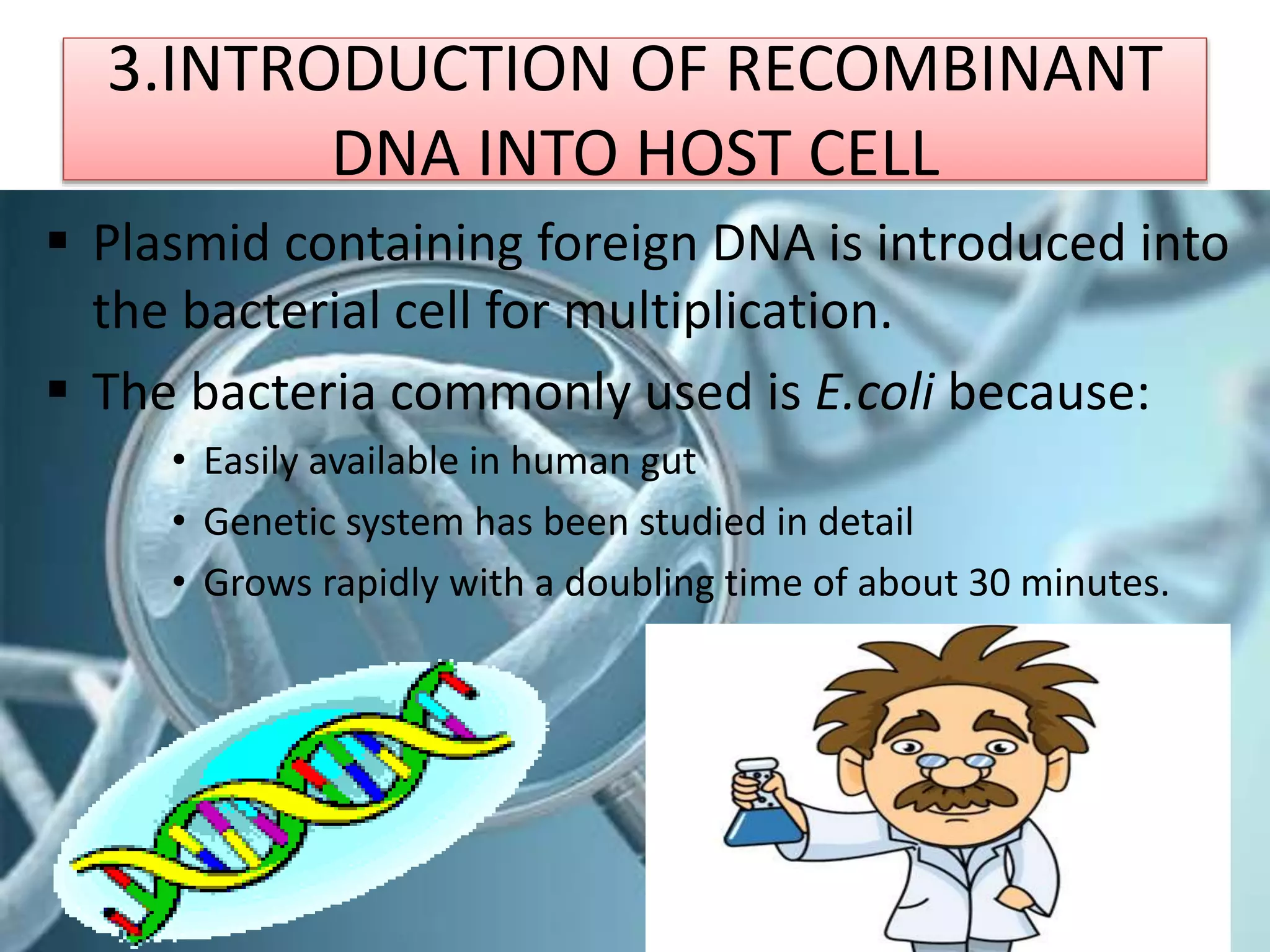 3.INTRODUCTION OF RECOMBINANT
DNA INTO HOST CELL
 Plasmid containing foreign DNA is introduced into
the bacterial cell for multiplication.
 The bacteria commonly used is E.coli because:
• Easily available in human gut
• Genetic system has been studied in detail
• Grows rapidly with a doubling time of about 30 minutes.
 