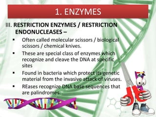 1. ENZYMES
III. RESTRICTION ENZYMES / RESTRICTION
ENDONUCLEASES –
 Often called molecular scissors / biological
scissors / chemical knives.
 These are special class of enzymes which
recognize and cleave the DNA at specific
sites
 Found in bacteria which protect its genetic
material from the invasive attack of viruses.
 REases recognize DNA base sequences that
are palindromes.
 