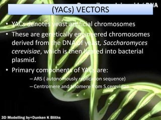 (YACs) VECTORS
• YACs denotes yeast artificial chromosomes
• These are genetically engineered chromosomes
derived from the DNA of yeast, Saccharomyces
cerevisiae, which is then ligated into bacterial
plasmid.
• Primary components of YACs are:
– ARS ( autonomously replication sequence)
– Centromere and telomere from S.cerevisiae
 