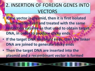 2. INSERTION OF FOREIGN GENES INTO
VECTORS
• If the vector is plasmid, then it is first isolated
from bacterial cell and treated with the same
restriction enzyme as that used to obtain target
DNA, in order to produce sticky ends
• If the target DNA has blunt ends, then the linker
DNA are joined to generate sticky ends
• Then the target DNA are inserted into the
plasmid and a recombinant vector is formed
 