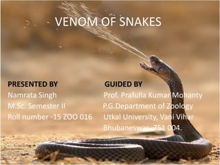 PRESENTED BY GUIDED BY
Namrata Singh Prof. Prafulla Kumar Mohanty
M.Sc. Semester II P.G.Department of Zoology
Roll number -15 ZOO 016 Utkal University, Vani Vihar
Bhubaneswar- 751 004.
1
VENOM OF SNAKES
 