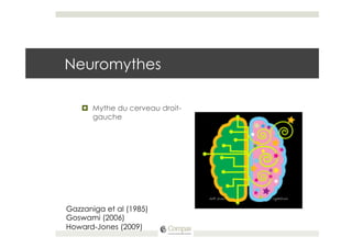 Neuromythes

    ¤  Mythe du cerveau droit-
        gauche




Gazzaniga et al (1985)
Goswami (2006)
Howard-Jones (2009)
 