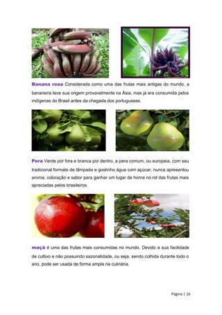 Banana roxa Considerada como uma das frutas mais antigas do mundo, a
bananeira teve sua origem provavelmente na Ásia, mas já era consumida pelos
indígenas do Brasil antes da chegada dos portugueses.
Pera Verde por fora e branca por dentro, a pera comum, ou europeia, com seu
tradicional formato de lâmpada e gostinho água com açúcar, nunca apresentou
aroma, coloração e sabor para ganhar um lugar de honra no rol das frutas mais
apreciadas pelos brasileiros
maçã é uma das frutas mais consumidas no mundo. Devido a sua facilidade
de cultivo e não possuindo sazonalidade, ou seja, sendo colhida durante todo o
ano, pode ser usada de forma ampla na culinária.
Página | 16
 