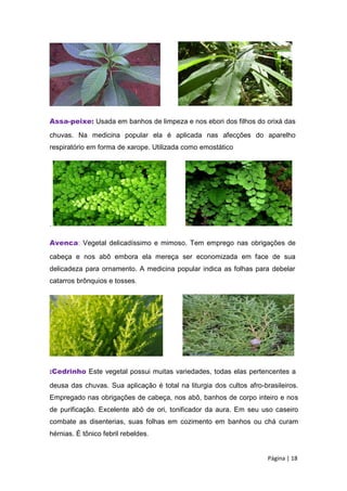 Assa-peixe: Usada em banhos de limpeza e nos ebori dos filhos do orixá das
chuvas. Na medicina popular ela é aplicada nas afecções do aparelho
respiratório em forma de xarope. Utilizada como emostático
.
Avenca: Vegetal delicadíssimo e mimoso. Tem emprego nas obrigações de
cabeça e nos abô embora ela mereça ser economizada em face de sua
delicadeza para ornamento. A medicina popular indica as folhas para debelar
catarros brônquios e tosses.
:Cedrinho Este vegetal possui muitas variedades, todas elas pertencentes a
deusa das chuvas. Sua aplicação é total na liturgia dos cultos afro-brasileiros.
Empregado nas obrigações de cabeça, nos abô, banhos de corpo inteiro e nos
de purificação. Excelente abô de ori, tonificador da aura. Em seu uso caseiro
combate as disenterias, suas folhas em cozimento em banhos ou chá curam
hérnias. É tônico febril rebeldes.
Página | 18
 
