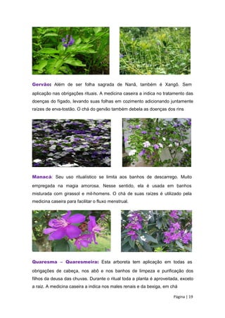 Gervão: Além de ser folha sagrada de Nanã, também é Xangô. Sem
aplicação nas obrigações rituais. A medicina caseira a indica no tratamento das
doenças do fígado, levando suas folhas em cozimento adicionando juntamente
raízes de erva-tostão. O chá do gervão também debela as doenças dos rins
Manacá: Seu uso ritualístico se limita aos banhos de descarrego. Muito
empregada na magia amorosa. Nesse sentido, ela é usada em banhos
misturada com girassol e mil-homens. O chá de suas raízes é utilizado pela
medicina caseira para facilitar o fluxo menstrual.
Quaresma – Quaresmeira: Esta arboreta tem aplicação em todas as
obrigações de cabeça, nos abô e nos banhos de limpeza e purificação dos
filhos da deusa das chuvas. Durante o ritual toda a planta é aproveitada, exceto
a raiz. A medicina caseira a indica nos males renais e da bexiga, em chá
Página | 19
 