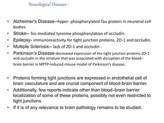 Neurological Diseases :
• Alzheimer's Disease--hyper- phosphorylated Tau protein in neuronal cell
bodies
• Stroke-- Src-mediated tyrosine phosphorylation of occludin.
• Epilepsy- immunoreactivity for tight junction proteins, ZO-1 and occludin.
• Multiple Sclerosis-- lack of ZO-1 and occludin .
• Parkinson’s Disease-decreased expression of the tight junction proteins ZO-1
and occludin in the striatum that was associated with disruption of the blood–
brain barrier in MPTP-induced mouse model of Parkinson’s disease.
• Proteins forming tight junctions are expressed in endothelial cell of
brain vasculature and are crucial component of blood-brain barrier.
• Additionally, few reports indicate other than blood–brain barrier
localization of some of these proteins, possibly not even restricted to
tight junctions.
• If it is of any relevance to brain pathology remains to be studied.
 