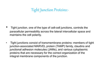 Tight Junction Proteins:-
• Tight junction, one of the type of cell-cell junctions, controls the
paracellular permeability across the lateral intercellular space and
maintains the cell polarity.
• Tight junctions consist of transmembrane proteins: members of tight
junction-associated MARVEL protein (TAMP) family, claudins and
junctional adhesion molecules (JAMs), and various cytoplasmic
proteins that are necessary for the correct organization of the
integral membrane components of the junction.
 