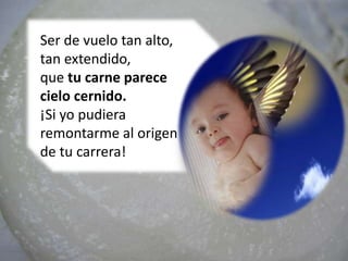 Ser de vuelo tan alto,
tan extendido,
que tu carne parece
cielo cernido.
¡Si yo pudiera
remontarme al origen
de tu carrera!
 