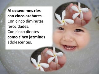 Al octavo mes ríes
con cinco azahares.
Con cinco diminutas
ferocidades.
Con cinco dientes
como cinco jazmines
adolescentes.
 