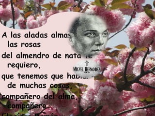 Nanas  de la cebolla.Miguel Hernández