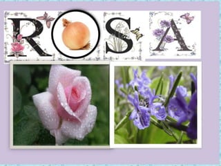 Nanas  de la cebolla.Miguel Hernández