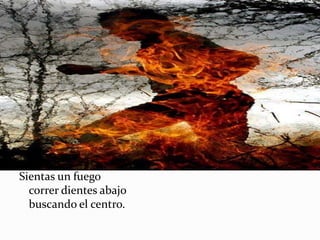 Sientas un fuego
  correr dientes abajo
  buscando el centro.
 