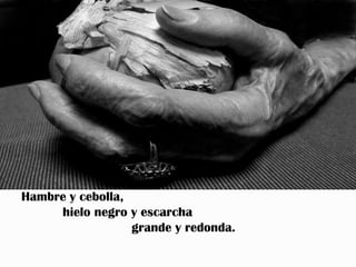 Hambre y cebolla,
     hielo negro y escarcha
                  grande y redonda.
 