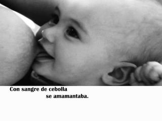 Con sangre de cebolla
             se amamantaba.
 