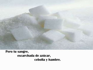 Pero tu sangre,
        escarchada de azúcar,
                  cebolla y hambre.
 