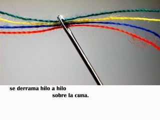 se derrama hilo a hilo
                sobre la cuna.
 