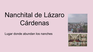 Nanchital de Lázaro
Cárdenas
Lugar donde abundan los nanches
 