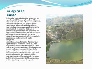 La laguna de
Yambo
Es llamada “Laguna Encantada” quizás por sus
leyendas ,está Ubicada a 17 km. al sur del cantón
Salcedo, tiene vertientes subterráneas en la parte
central de donde nacen sus aguas se puede
observar que la laguna ha crecido en forma
espectacular por los nuevos regadíos que se ha
implementado en las zonas aledañas. su
profundidad aproximada es de 150 metros con
una extensión de 1 kilometro por 900 metros de
ancho, sus aguas tienen una temperatura
promedio de 10 grados centígrados en medio de
un clima que oscila entre los 8 grados
centígrados.
Su nombre viene de la palabra “Yamboc” que
significa laguna humeante, debido a la gran
evaporación que sufría en la antigüedad, tiene
características muy particulares debido a su color
obscuro y a la gran presencia de algas. En las
playas de la laguna encontramos totorales muy
utilizados por los habitantes de este lugar para
alimentar su ganado. En sus aguas anidan
especies como pececillos policromáticos, palos
andinos acompañados por las blancas garzas y
patillos, perdices y una que otra guanta.
 