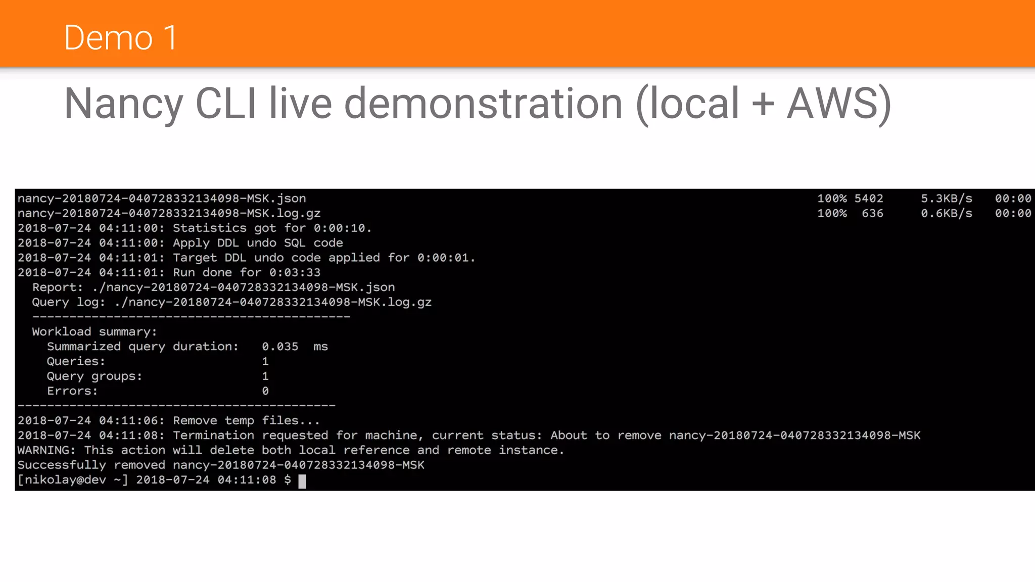 Demo 1
Nancy CLI live demonstration (local + AWS)
 