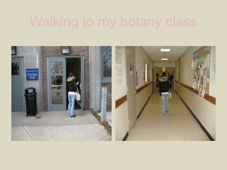 Walking to my botany class 