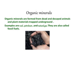 Organic minerals
Organic minerals are formed from dead and decayed animals
and plant materials trapped underground .
Examples are-coal , petroleum, and natural gas. They are also called
fossil fuels.
 
