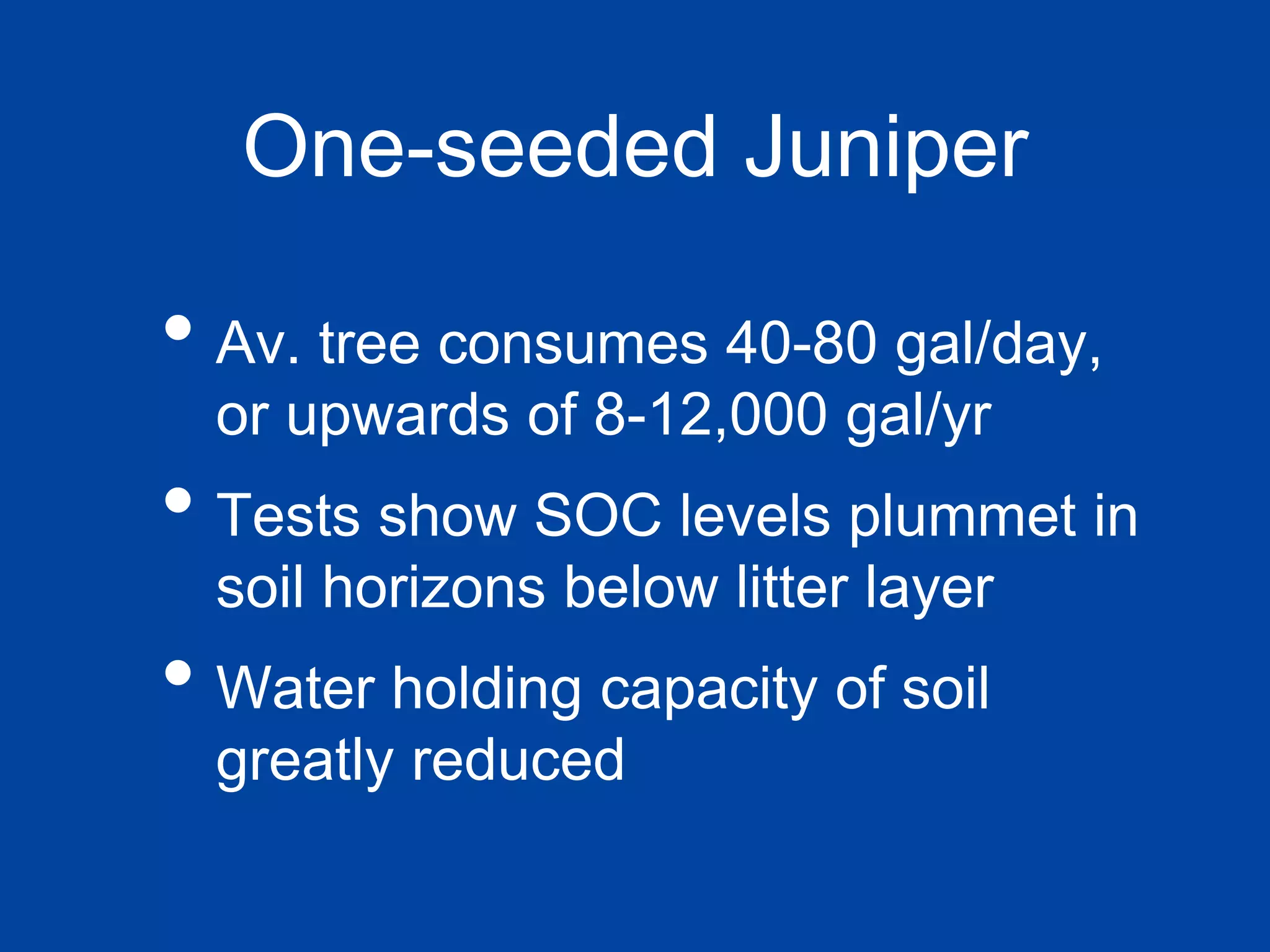 One-seeded Juniper
• Av. tree consumes 40-80 gal/day,
or upwards of 8-12,000 gal/yr
• Tests show SOC levels plummet in
soil horizons below litter layer
• Water holding capacity of soil
greatly reduced
 