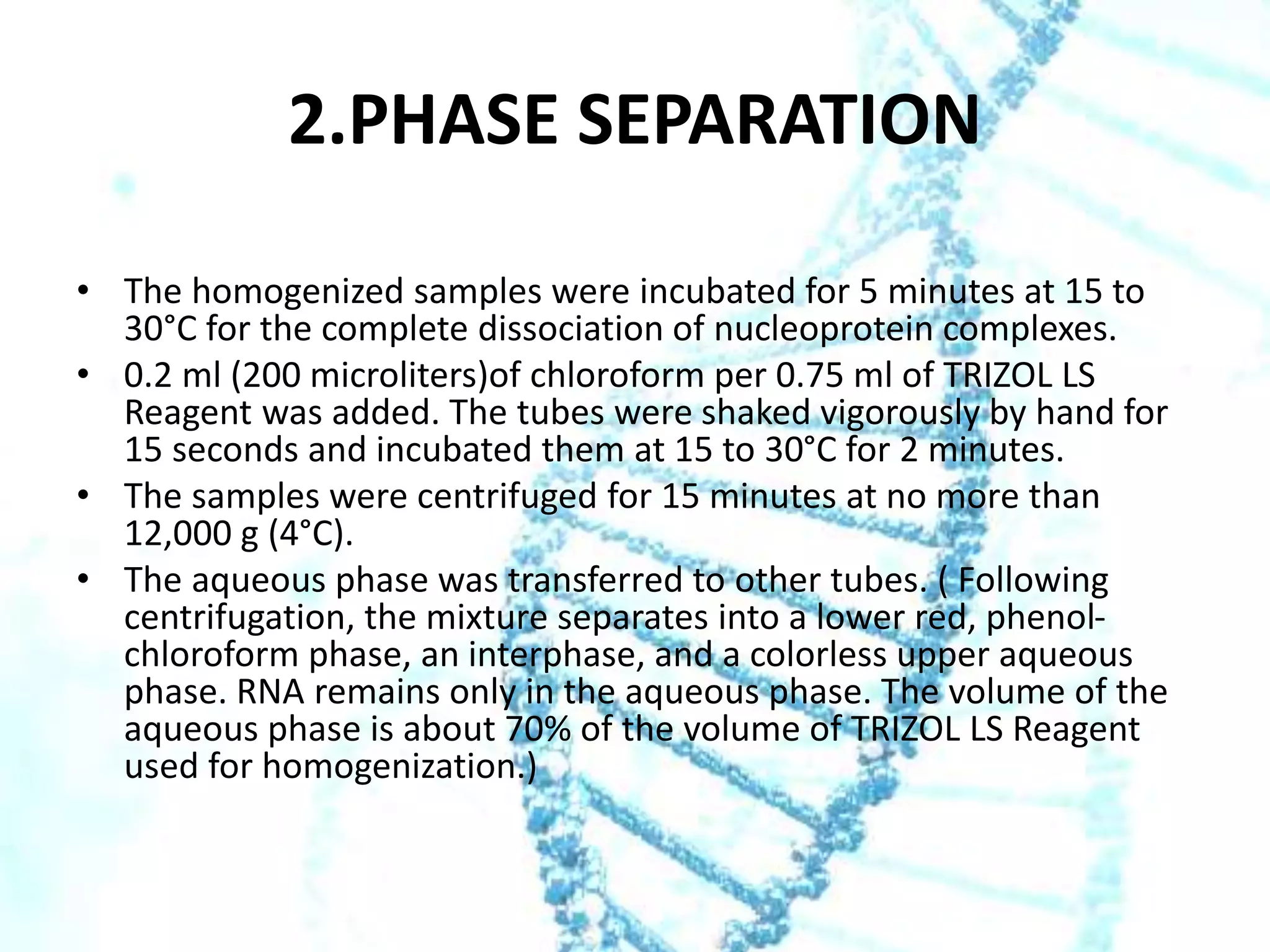 2.PHASE SEPARATION
• The homogenized samples were incubated for 5 minutes at 15 to
30°C for the complete dissociation of nucleoprotein complexes.
• 0.2 ml (200 microliters)of chloroform per 0.75 ml of TRIZOL LS
Reagent was added. The tubes were shaked vigorously by hand for
15 seconds and incubated them at 15 to 30°C for 2 minutes.
• The samples were centrifuged for 15 minutes at no more than
12,000 g (4°C).
• The aqueous phase was transferred to other tubes. ( Following
centrifugation, the mixture separates into a lower red, phenolchloroform phase, an interphase, and a colorless upper aqueous
phase. RNA remains only in the aqueous phase. The volume of the
aqueous phase is about 70% of the volume of TRIZOL LS Reagent
used for homogenization.)

 