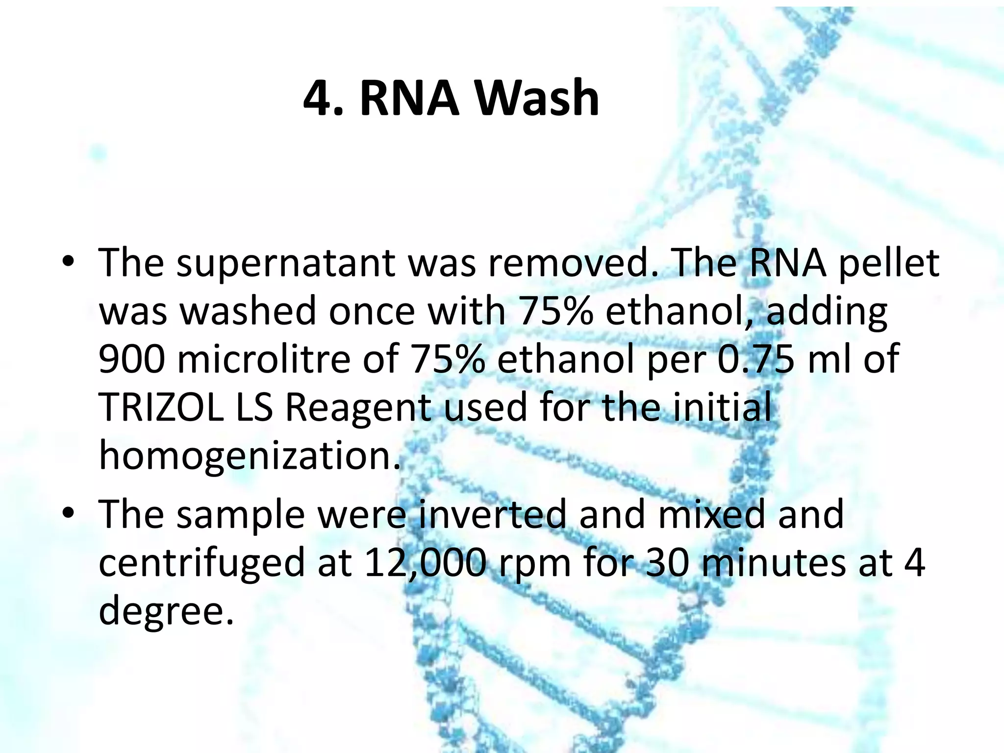 4. RNA Wash
• The supernatant was removed. The RNA pellet
was washed once with 75% ethanol, adding
900 microlitre of 75% ethanol per 0.75 ml of
TRIZOL LS Reagent used for the initial
homogenization.
• The sample were inverted and mixed and
centrifuged at 12,000 rpm for 30 minutes at 4
degree.

 