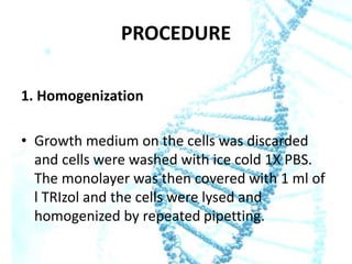 PROCEDURE
1. Homogenization

• Growth medium on the cells was discarded
and cells were washed with ice cold 1X PBS.
The monolayer was then covered with 1 ml of
l TRIzol and the cells were lysed and
homogenized by repeated pipetting.

 