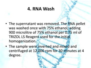 4. RNA Wash
• The supernatant was removed. The RNA pellet
was washed once with 75% ethanol, adding
900 microlitre of 75% ethanol per 0.75 ml of
TRIZOL LS Reagent used for the initial
homogenization.
• The sample were inverted and mixed and
centrifuged at 12,000 rpm for 30 minutes at 4
degree.

 