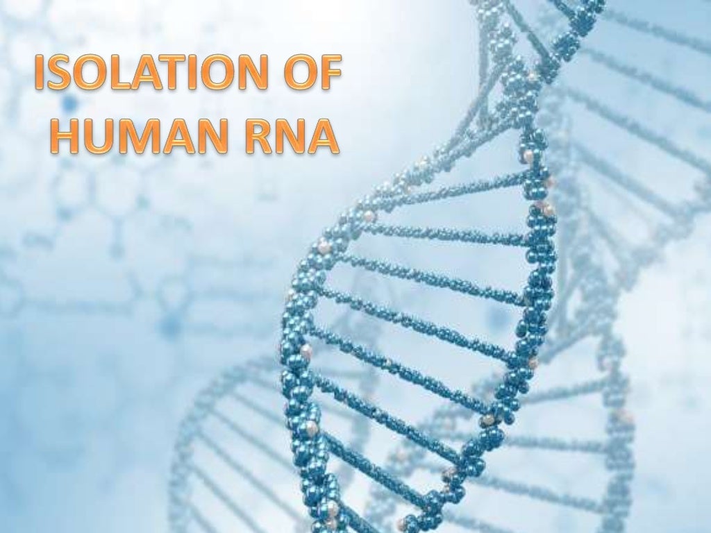 ISOLATION OF RNA