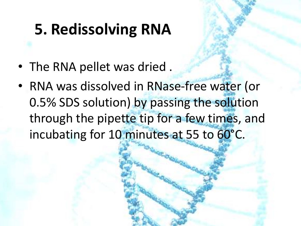 ISOLATION OF RNA