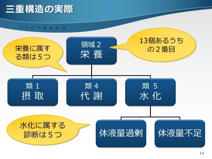 Nanda看護診断 入門編 Nanda看護診断 入門編