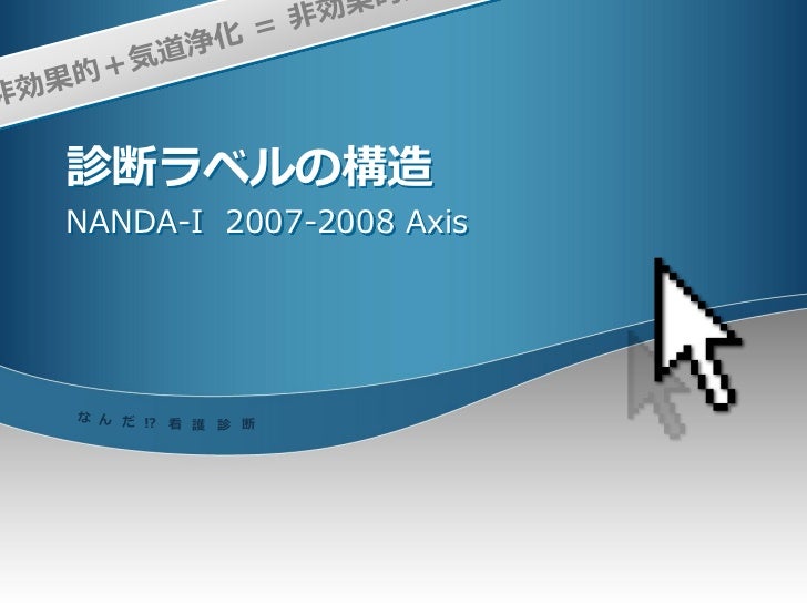 Nanda看護診断 入門編 Nanda看護診断 入門編