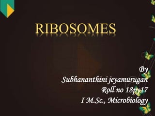 By
Subhananthini jeyamurugan
Roll no 18py17
I M.Sc., Microbiology
RIBOSOMES
 