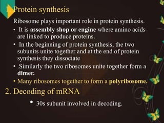Dimer Ribosomes ribosomes seminar preparation - copy | PPTX