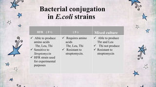 conjugation | PPTX