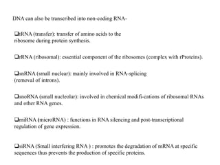 RNA As molecule of LIFE | PPTX