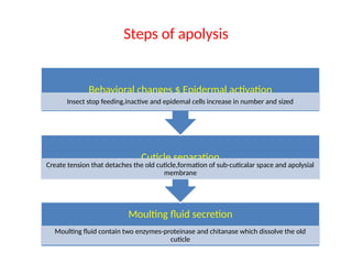 Nandkishor Baghel Insect Moulting ento.ppt.pptx