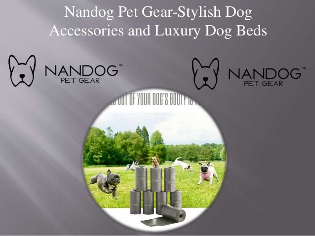 luxury dog accessories
