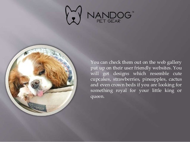 dog accessories websites