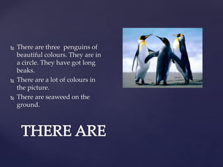  There are three penguins of
beautiful colours. They are in
a circle. They have got long
beaks.
There are a lot of colours in
the picture.
There are seaweed on the
ground.