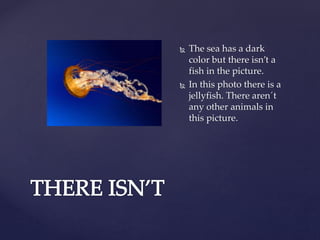  The sea has a dark
color but there isn’t a
fish in the picture.
In this photo there is a
jellyfish. There aren´t
any other animals in
this picture.