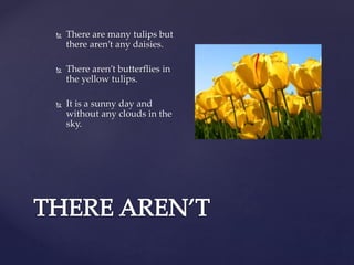 There are many tulips but
there aren’t any daisies.
There aren’t butterflies in
the yellow tulips.
It is a sunny day and
without any clouds in the
sky.