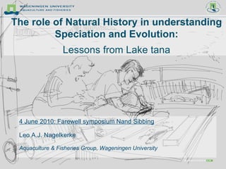 The role of Natural History in understanding Speciation and Evolution: Lessons from Lake tana 4 June 2010: Farewell symposium Nand Sibbing Leo A.J. Nagelkerke Aquaculture & Fisheries Group, Wageningen University 