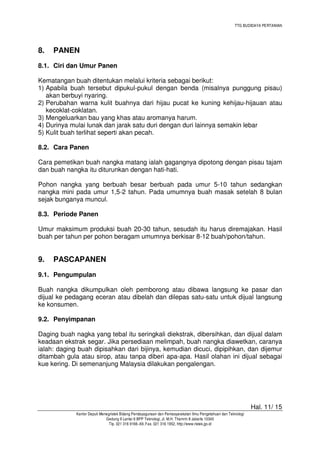 TTG BUDIDAYA PERTANIAN
Hal. 11/ 15
Kantor Deputi Menegristek Bidang Pendayagunaan dan Pemasyarakatan Ilmu Pengetahuan dan Teknologi
Gedung II Lantai 6 BPP Teknologi, Jl. M.H. Thamrin 8 Jakarta 10340
Tlp. 021 316 9166~69, Fax. 021 316 1952, http://www.ristek.go.id
8. PANEN
8.1. Ciri dan Umur Panen
Kematangan buah ditentukan melalui kriteria sebagai berikut:
1) Apabila buah tersebut dipukul-pukul dengan benda (misalnya punggung pisau)
akan berbuyi nyaring.
2) Perubahan warna kulit buahnya dari hijau pucat ke kuning kehijau-hijauan atau
kecoklat-coklatan.
3) Mengeluarkan bau yang khas atau aromanya harum.
4) Durinya mulai lunak dan jarak satu duri dengan duri lainnya semakin lebar
5) Kulit buah terlihat seperti akan pecah.
8.2. Cara Panen
Cara pemetikan buah nangka matang ialah gagangnya dipotong dengan pisau tajam
dan buah nangka itu diturunkan dengan hati-hati.
Pohon nangka yang berbuah besar berbuah pada umur 5-10 tahun sedangkan
nangka mini pada umur 1,5-2 tahun. Pada umumnya buah masak setelah 8 bulan
sejak bunganya muncul.
8.3. Periode Panen
Umur maksimum produksi buah 20-30 tahun, sesudah itu harus diremajakan. Hasil
buah per tahun per pohon beragam umumnya berkisar 8-12 buah/pohon/tahun.
9. PASCAPANEN
9.1. Pengumpulan
Buah nangka dikumpulkan oleh pemborong atau dibawa langsung ke pasar dan
dijual ke pedagang eceran atau dibelah dan dilepas satu-satu untuk dijual langsung
ke konsumen.
9.2. Penyimpanan
Daging buah nagka yang tebal itu seringkali diekstrak, dibersihkan, dan dijual dalam
keadaan ekstrak segar. Jika persediaan melimpah, buah nangka diawetkan, caranya
ialah: daging buah dipisahkan dari bijinya, kemudian dicuci, dipipihkan, dan dijemur
ditambah gula atau sirop, atau tanpa diberi apa-apa. Hasil olahan ini dijual sebagai
kue kering. Di semenanjung Malaysia dilakukan pengalengan.
 
