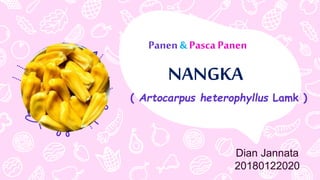 Panen & Pasca Panen
Dian Jannata
20180122020
NANGKA
( Artocarpus heterophyllus Lamk )
 