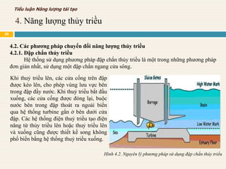 Khi thuỷ triều lên, các cửa cống trên đập
được kéo lên, cho phép vùng lưu vực bên
trong đập đầy nước. Khi thuỷ triều bắt đầu
xuống, các cửa cống được đóng lại, buộc
nước bên trong đập thoát ra ngoài biển
qua hệ thống turbine gắn ở bên dưới cửa
đập. Các hệ thống điện thuỷ triều tạo điện
năng từ thủy triều lên hoặc thuỷ triều lên
và xuống cũng được thiết kế song không
phổ biến bằng hệ thống thuỷ triều xuống.
4.2. Các phương pháp chuyển đổi năng lượng thủy triều
4.2.1. Đập chắn thủy triều
Hệ thống sử dụng phương pháp đập chắn thủy triều là một trong những phương pháp
đơn giản nhất, sử dụng một đập chắn ngang cửa sông.
Hình 4.2. Nguyên lý phương pháp sử dụng đập chắn thủy triều
4. Năng lượng thủy triều
Tiểu luận Năng lượng tái tạo
36
 
